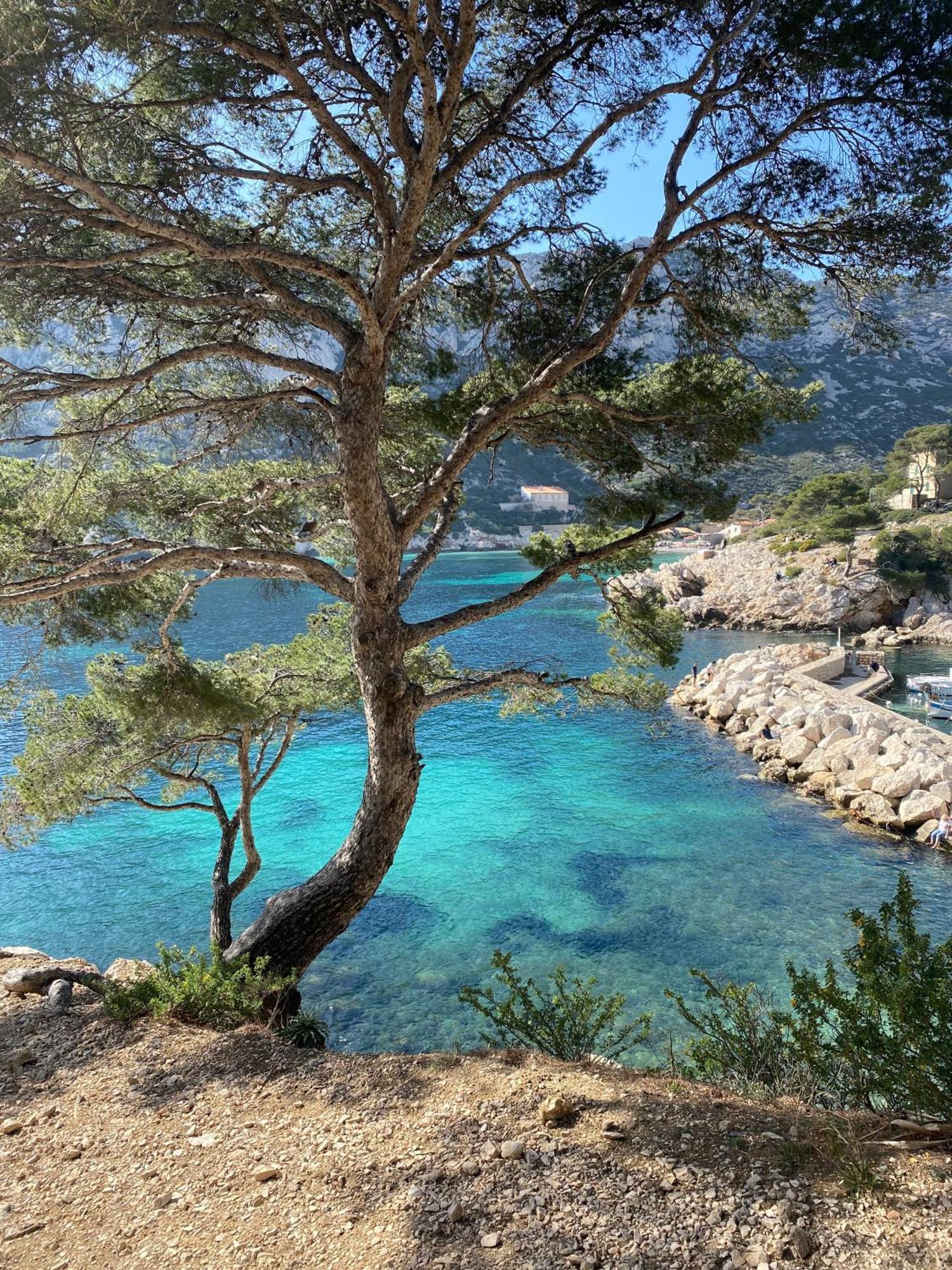Appartement Lumineux Proche Calanques Marsylia Zewnętrze zdjęcie